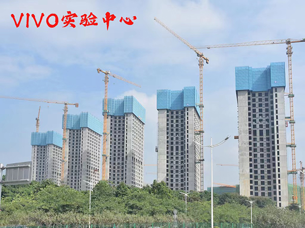 VIVO实验中心